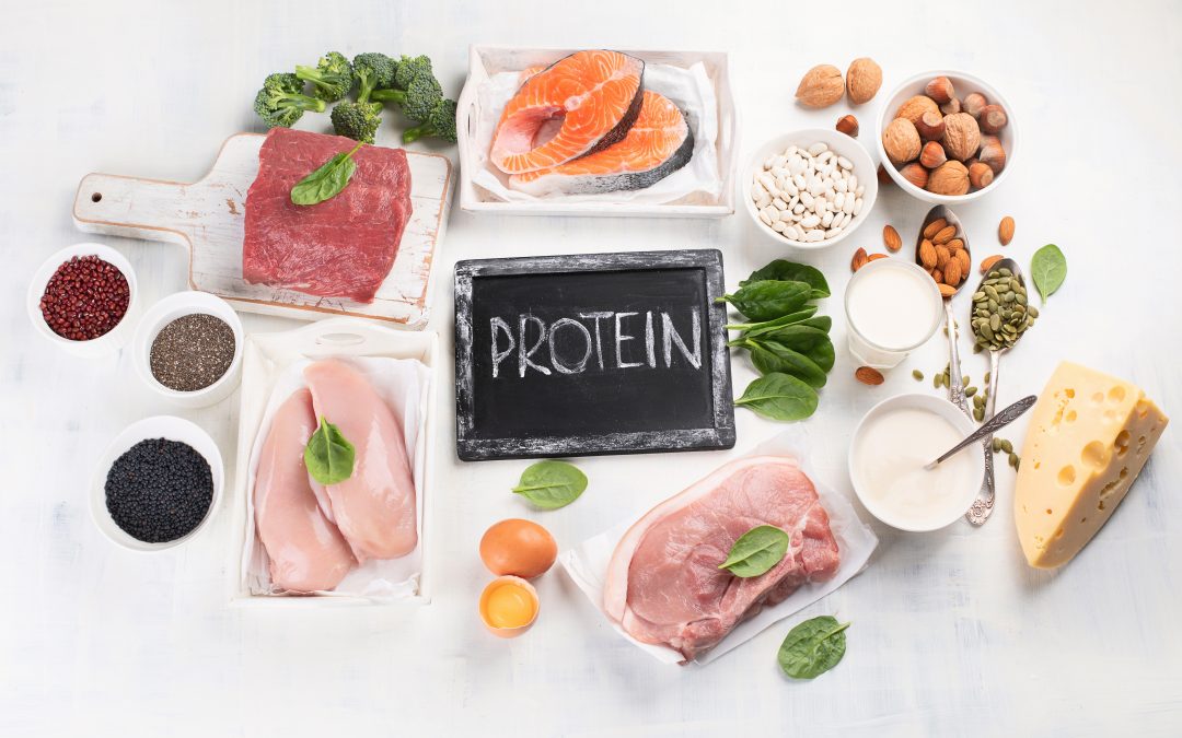 Les protéines : quelles sont les meilleures sources ?