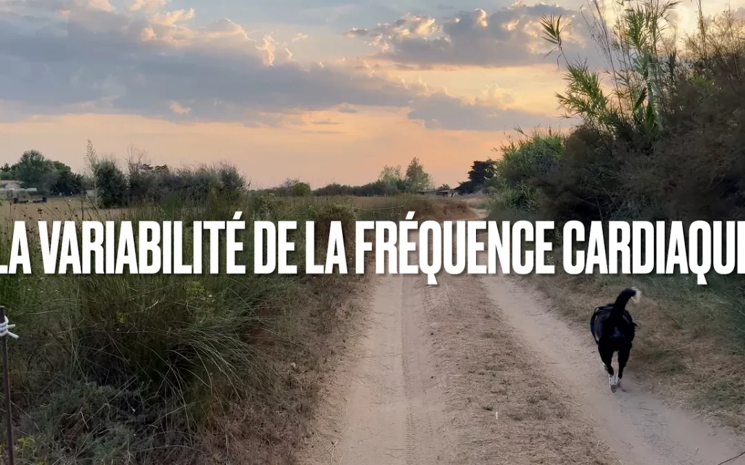 Variabilité de la fréquence cardiaque : et si bien vieillir ne consistait pas à rester stable, mais à rester capable de changer ?