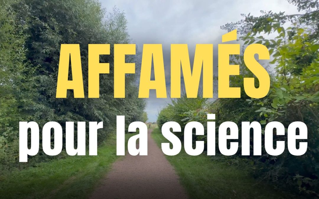 Effet yoyo : ce que l&rsquo;expérience du Minnesota révèle sur votre métabolisme